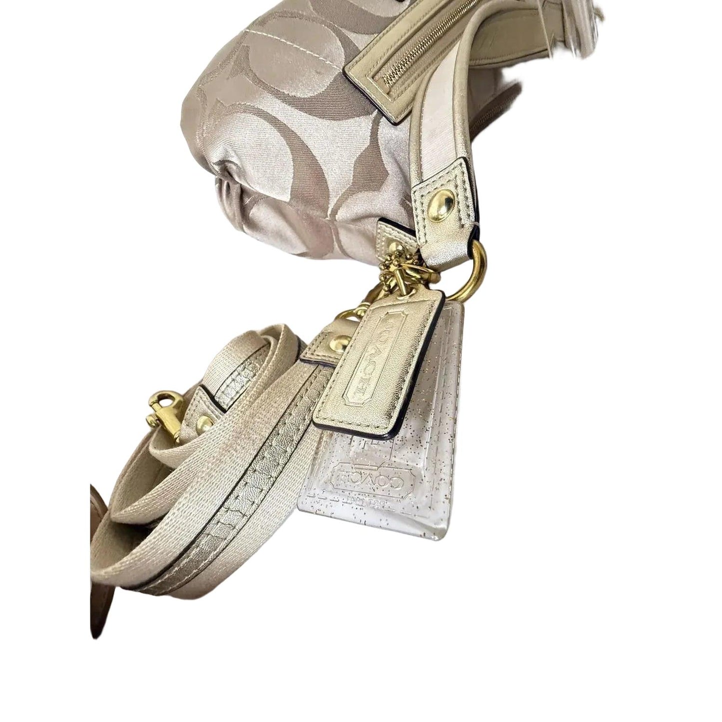 Coach Poppy Daisy Crossbody Bag - VeeLuxeCollectives