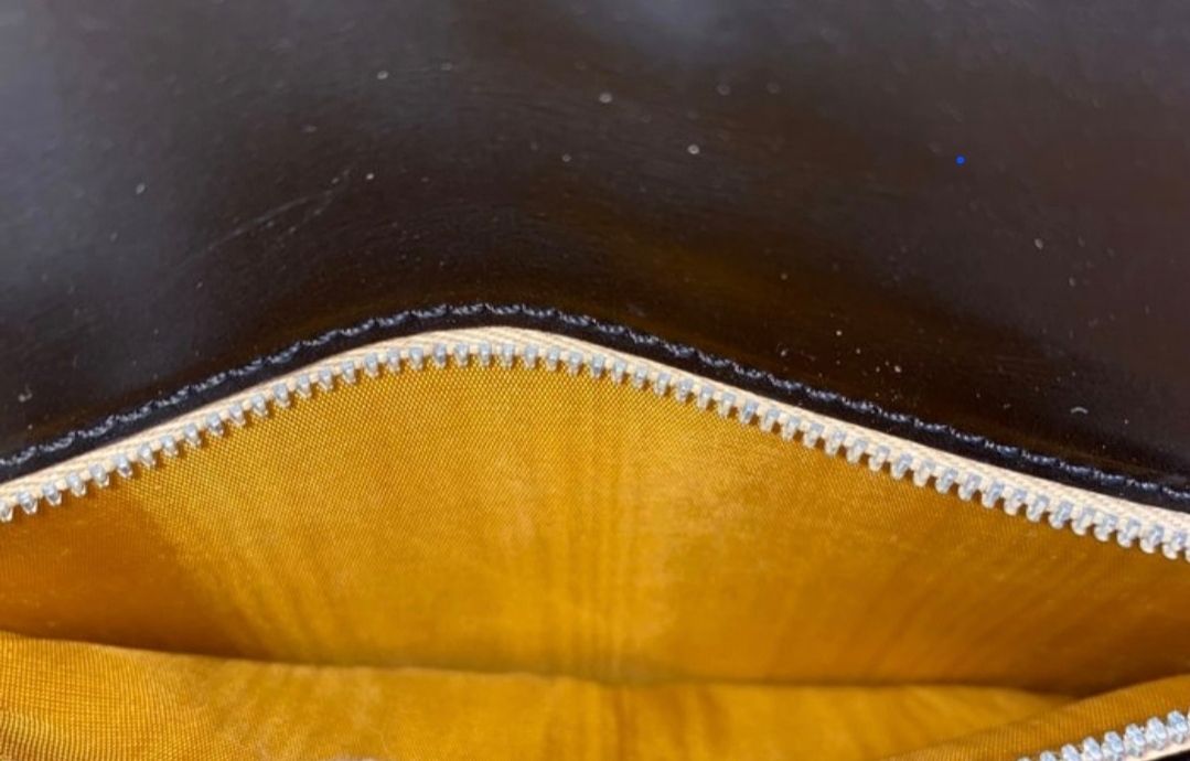 Celine Triomphe crossbody, overall condition view