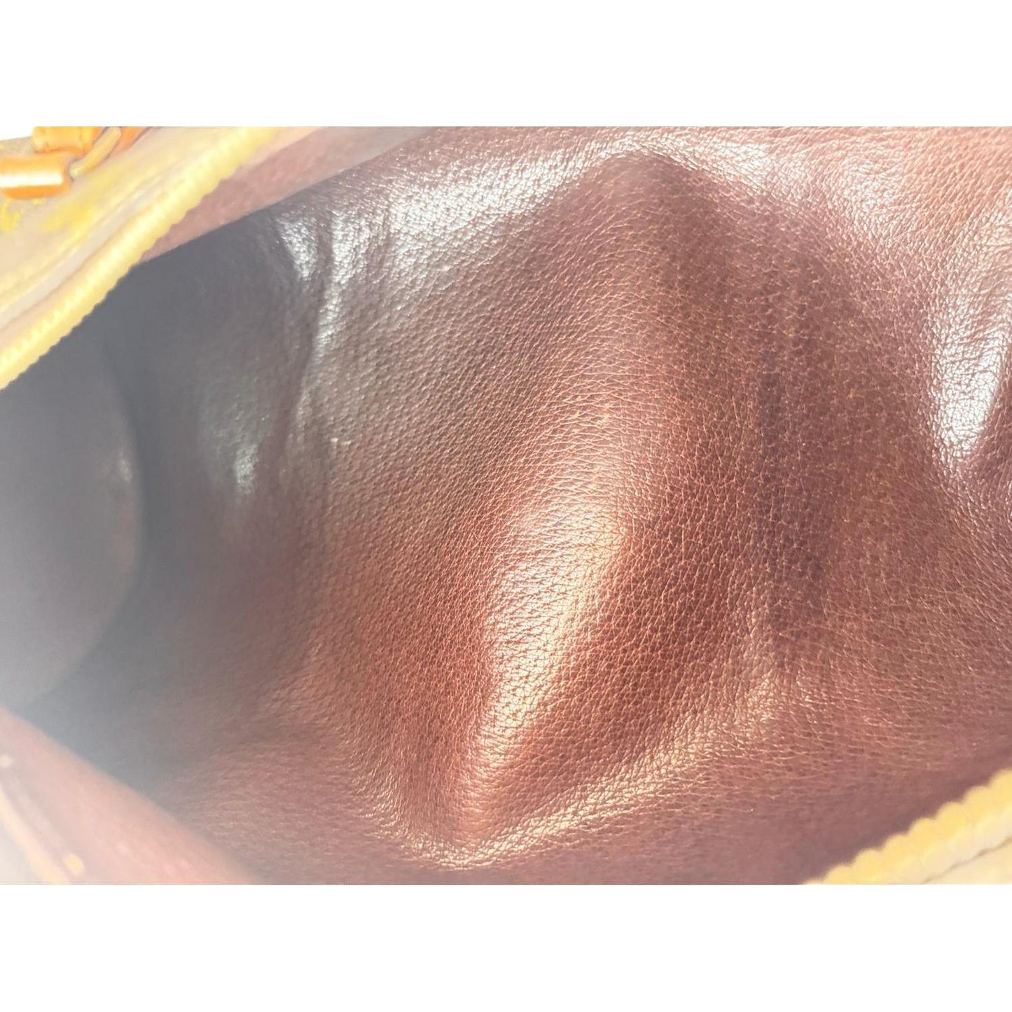 LV Papillon 30, gold-tone hardware detail