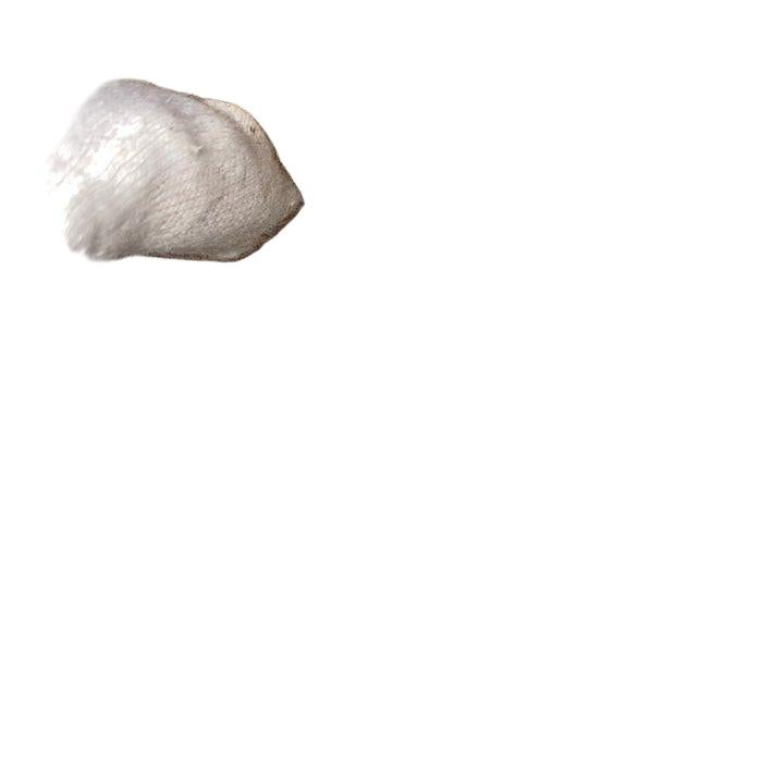 https://d2j6dbq0eux0bg.cloudfront.net/images/80136502/5418121328.jpg