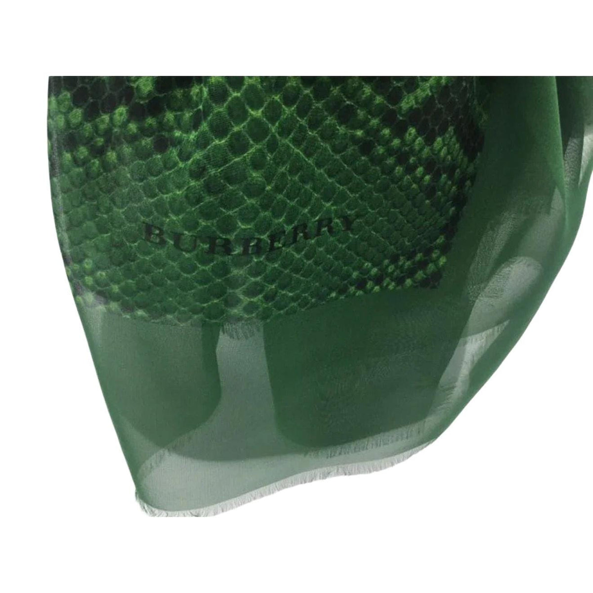Burberry green silk scarf with delicate fringed edges and vibrant hue.
