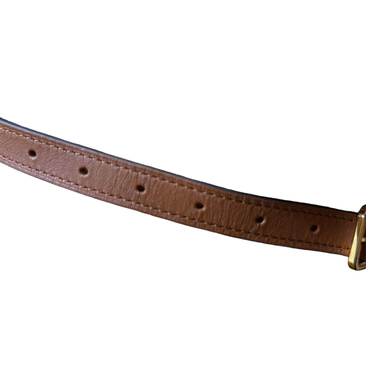 Louis Vuitton Dauphine Belt Bagmple product