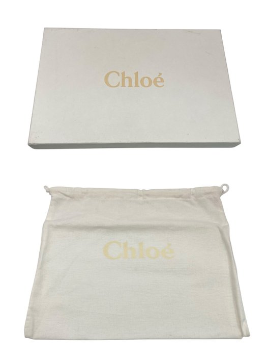 Chloe Leather Pouch / Clutch Bag