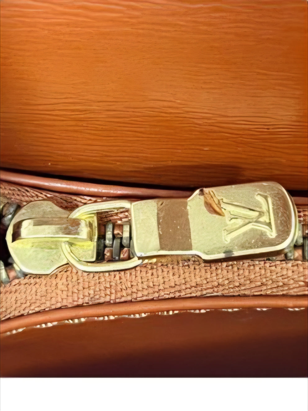 Louis Vuitton Malesherbes  Kenyan Fawn Bag