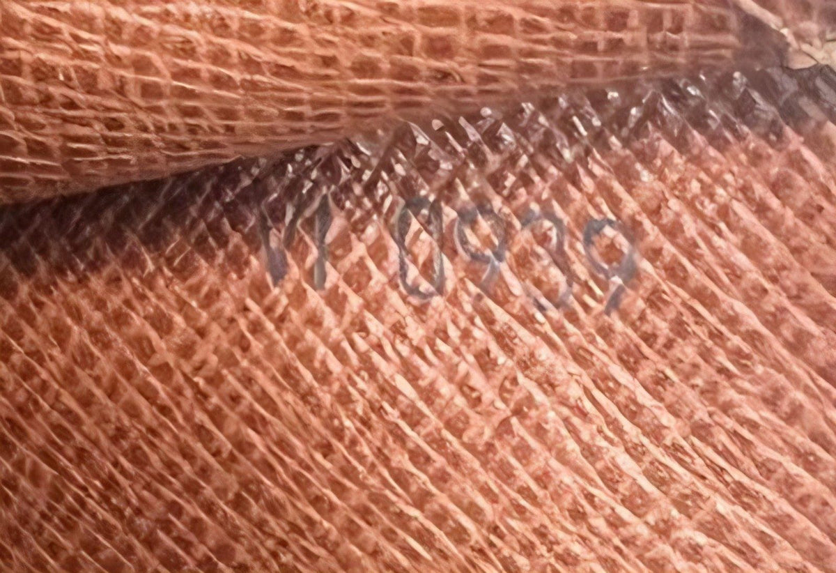 Louis Vuitton brown Epi leather pochette bag with gold hardware and textured finish.