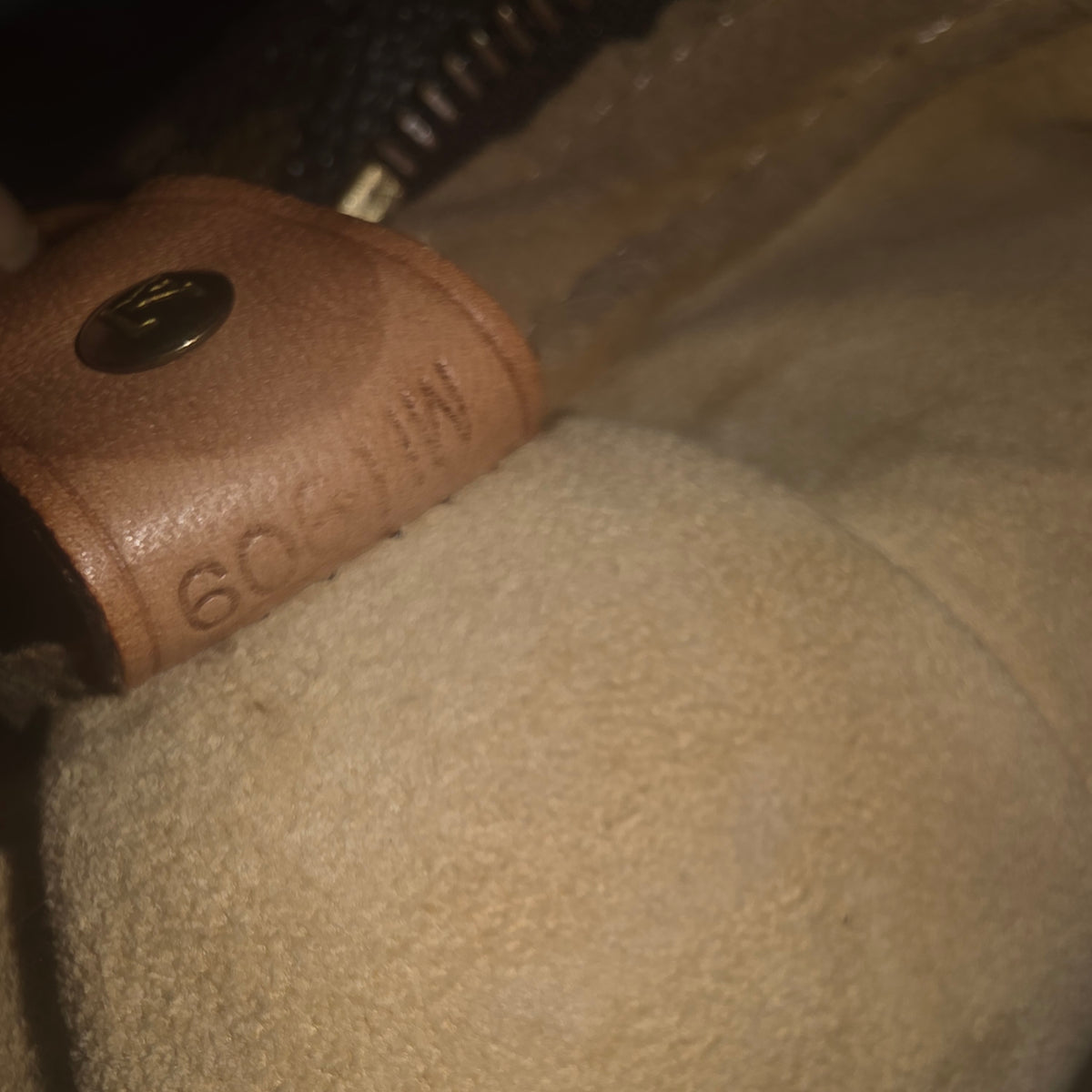 Louis Vuitton Looping GM Monogram Bag